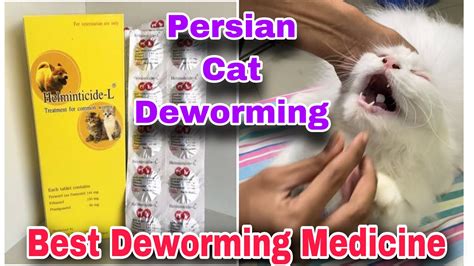 Deworming Medication For Cats