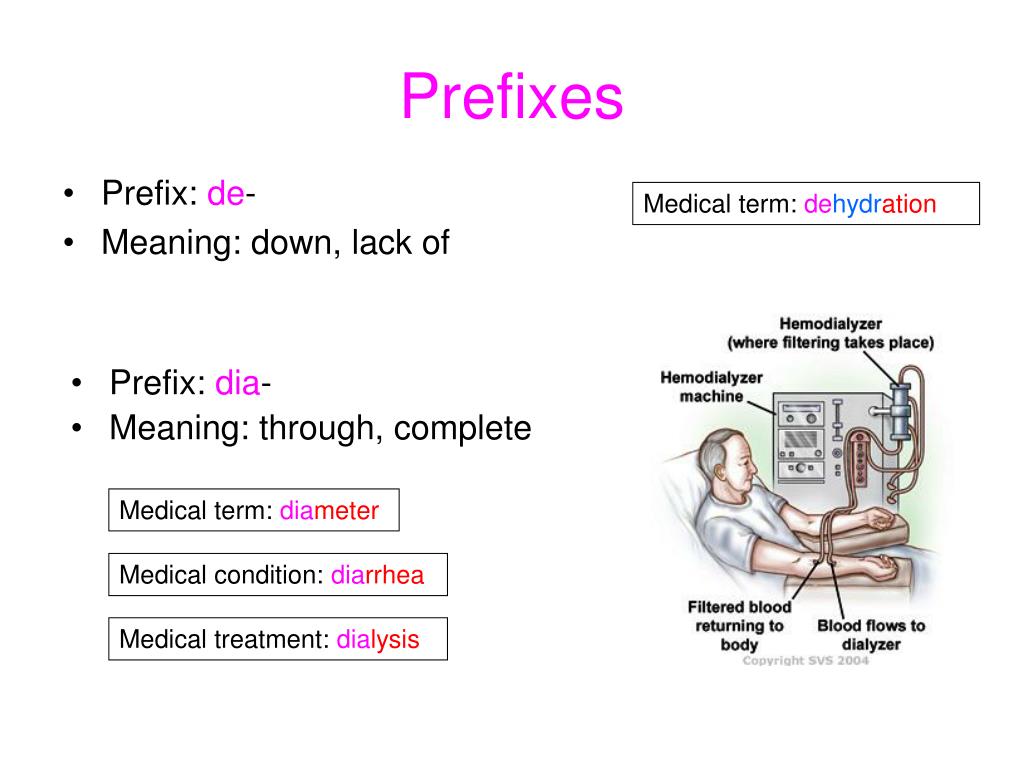 Dia Medical Term Prefix Quickly Memorize Meaning Definition