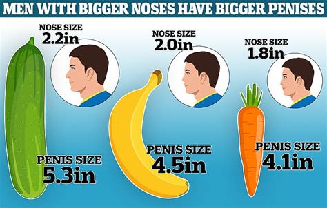 Dick Sizes By Age