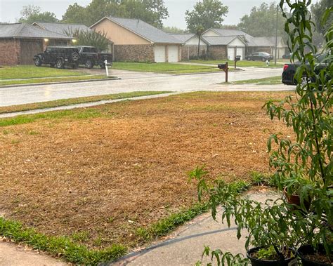 Did Houston S Hot And Dry Summer Kill Your Lawn Here S How You Can