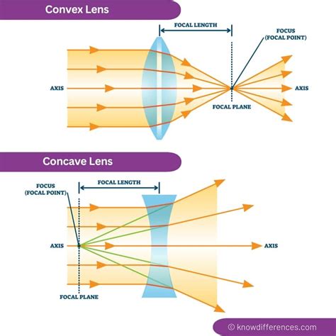 Difference Between Concave And Convex Lens 88Guru Difference Between Concave And Convex Lens 88Guru