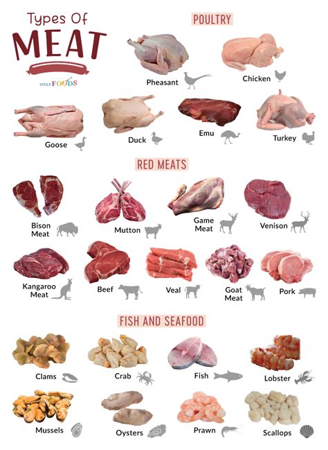 Different Types Of Meat 8 Types Of Meat And Their Benefits Includes