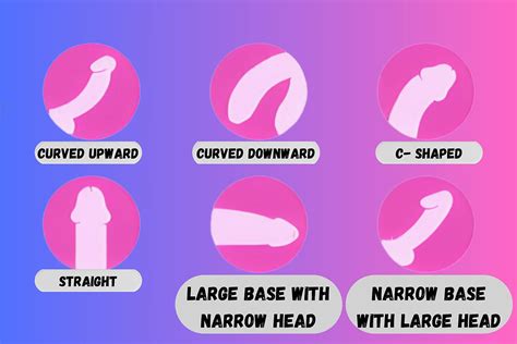 Different Types Of Penis's