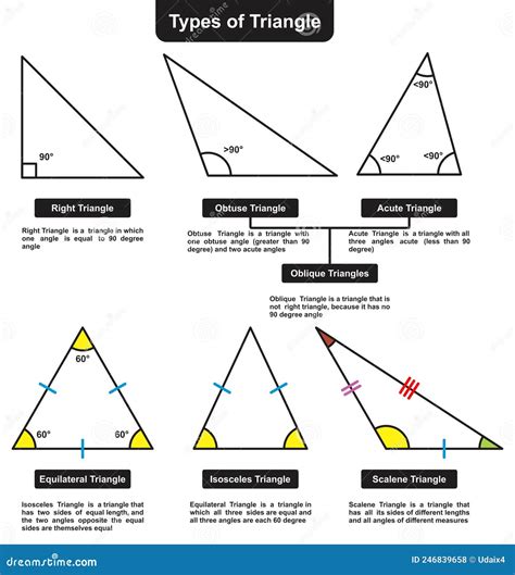 Different Types Of Triangle Infographic Diagram Basic Mathematics
