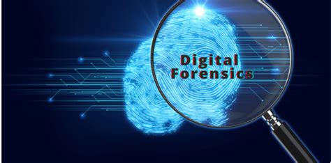 Digital Forensics Analysts Rogue Careers