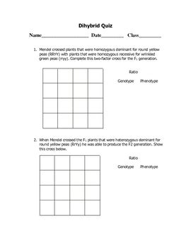 Dihybrid Punnett Square Quiz By Goby S Lessons Tpt