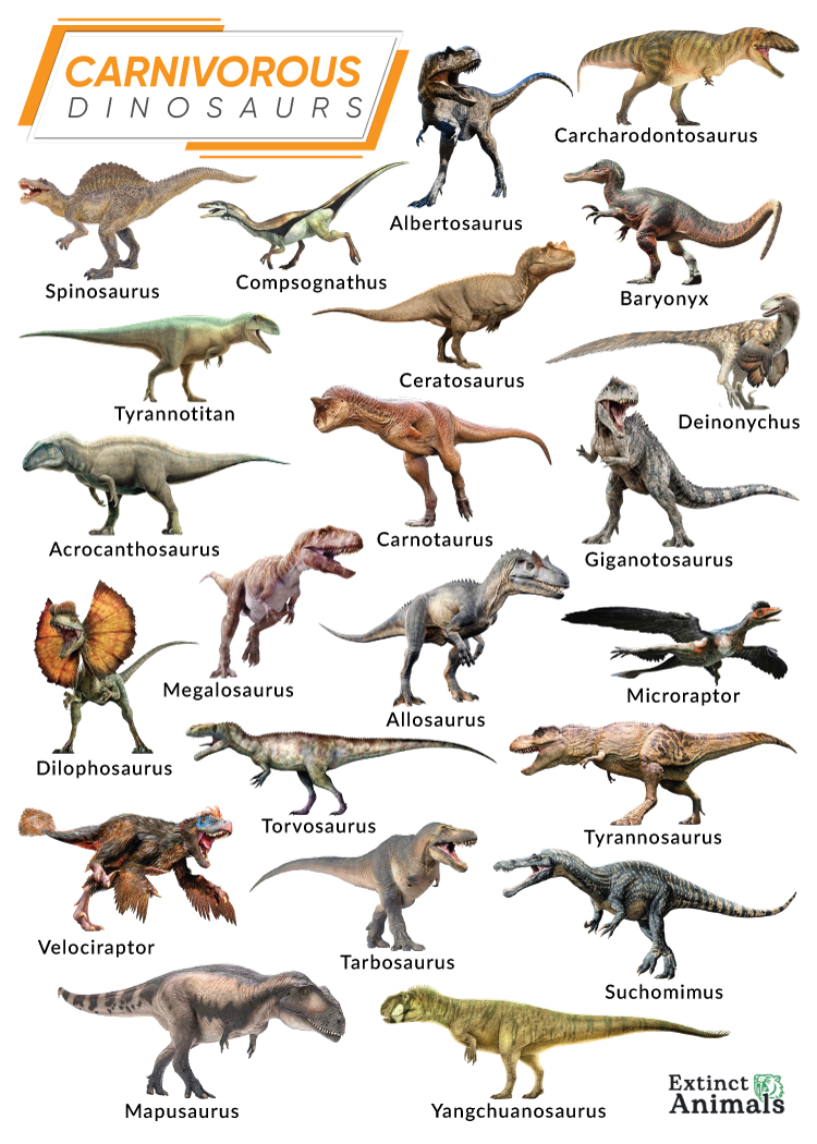 Dinosaurs Names And Pictures A Z