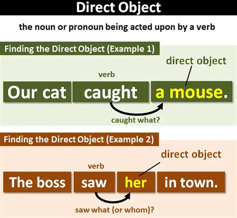 Direct Object Definition And Examples