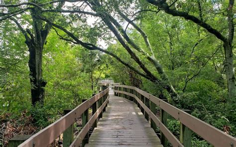 Discover The Tranquil Beauty Of Largo Central Park Nature Preserve