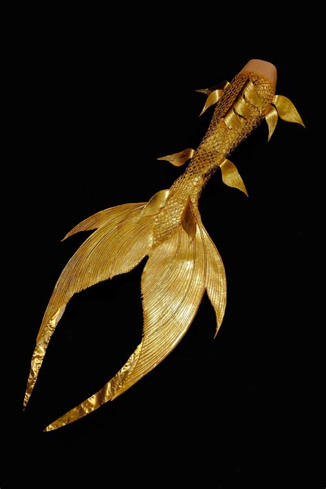 Discover Your Perfect Mermaid Tail Which One Would You Choose Discover Your Perfect Mermaid Tail Which One Would You Choose