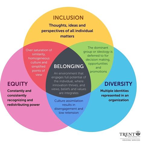 Diversity And Inclusion Diagram Diversity And Inclusion Diagram