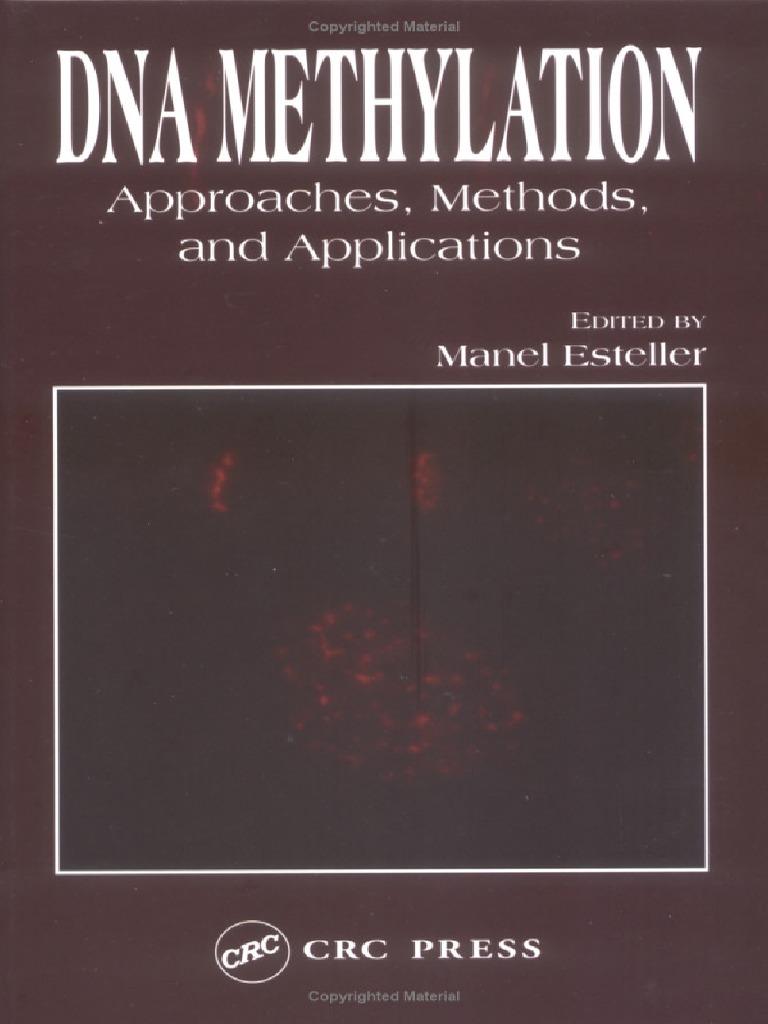 Dna Methylation Approaches Of Human Body Fluid Detection Springerlink