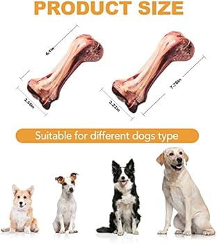 Do Antibiotics Constipate You