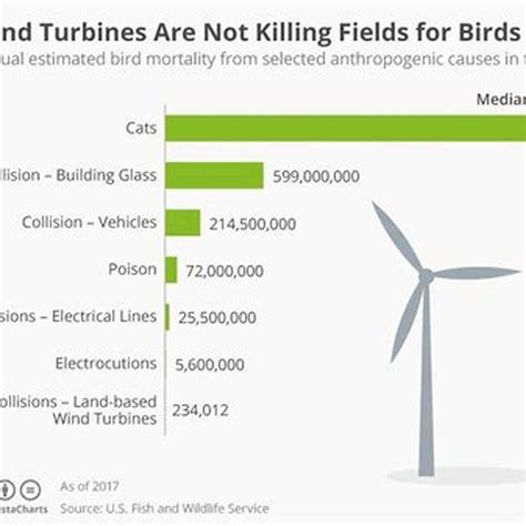 Do Wind Turbines Kill Birds How Statistics Bird Fact