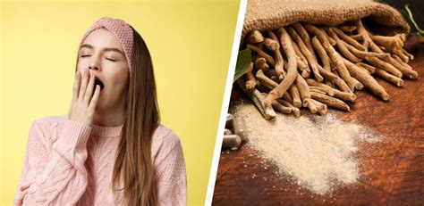 Does Ashwagandha Make You Sleepy Exploring Its Benefits For Sleep Does Ashwagandha Make You Sleepy Exploring Its Benefits For Sleep