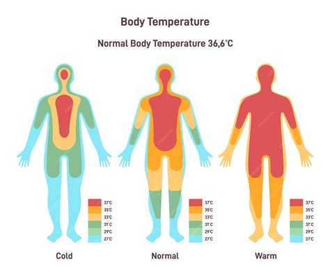 Does Body Temperature Change Can Your Temperature Be Less Than 98 6 Degrees Youtube