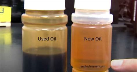Does Engine Oil Expire: What You Need to Know About Oil Shelf Life