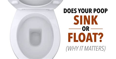 Does Your Poop Sink Or Float Why It Matters Important To Know Does Your Poop Sink Or Float Why It Matters Important To Know
