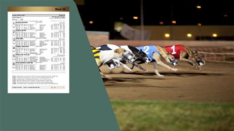 Dog Racing Results Today Dog Racing Greyhound Result Today Horse Racing Results Racing Post