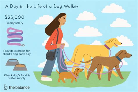 Dog Walker Job Description Salary Skills More Dog Walker Job Description Salary Skills More