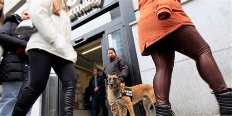 Dogs Are Being Used Stop Shoplifting In A Cvs In New York City Dogs Are Being Used Stop Shoplifting In A Cvs In New York City