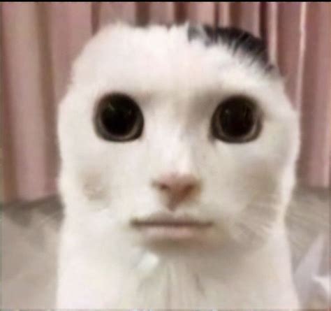 Domy Adl Kullan C N N Schizzi D Amp 39 Arte Panosundaki Pin Izim D Vme Anime