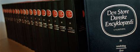 Don Quixote Den Store Danske Lex