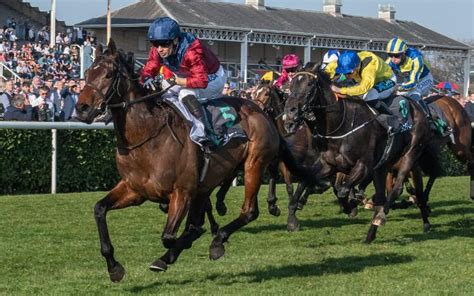 Doncaster Races 2025