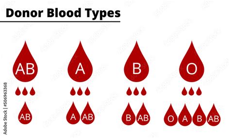 Donor Blood Types Compatibility Diagram Abo Blood Group System Vector