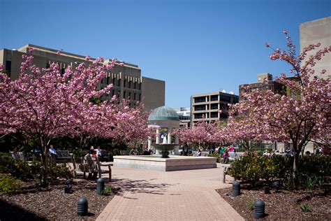 Download Caption George Washington University Campus With Cherry