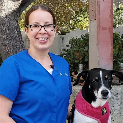 Dr Diaz Vet Consulting