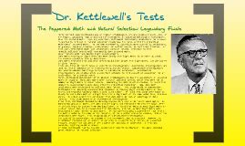 Dr Kettlewell S Tests By Jacob Steinfeld On Prezi Dr Kettlewell S Tests By Jacob Steinfeld On Prezi
