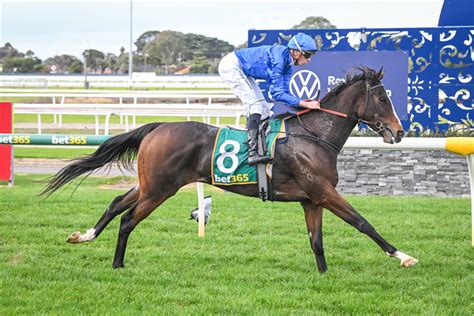 Drift Net Thoroughbred Horse Profile Next Race Form Stats News Breeding Racing And Sports