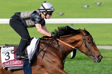 Dual St Leger Winner Eldar Eldarov To Chapel Stud Bloodhorse