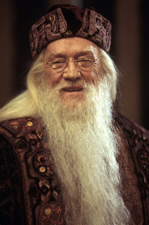 Dumbledore Harry Potter Dumbledore Harry Potter