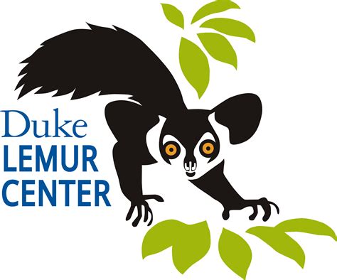 5 Ways Durham Lemur Center