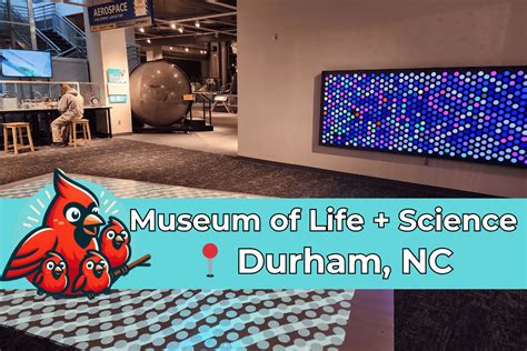 Durham Museum Life And Science Fun