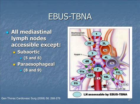 Ebus Medical Abbreviation