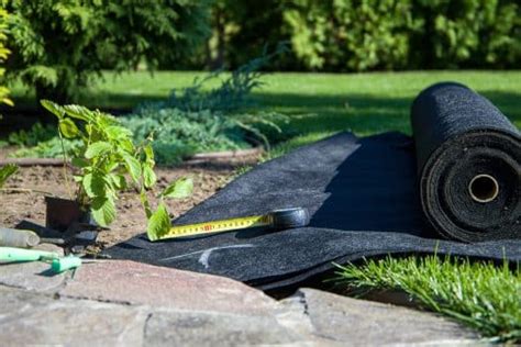 Effective Steps To Place Landscape Fabric Over Grass A Complete Guide