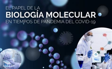 El Papel De La Biolog A Molecular En La Actualidad Investigaci N El Papel De La Biolog A Molecular En La Actualidad Investigaci N