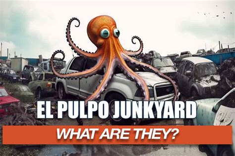El Pulpo Junkyard: Exploring the Hidden Gems and Trash Tales