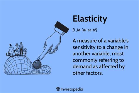 Elasticity Definition Examples Facts Britannica