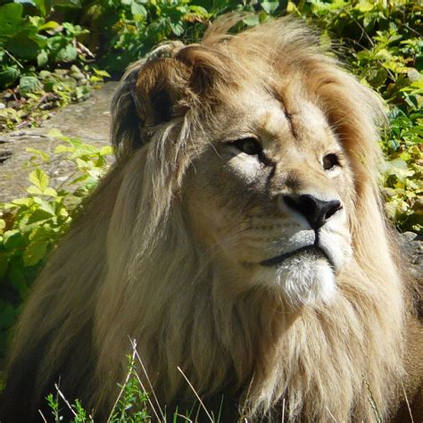 Elgin Sc All You Must Know Before You Go 2026 Tripadvisor