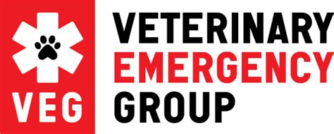 Emergency Vet In Pittsburgh Pa Veterinary Emergency Group