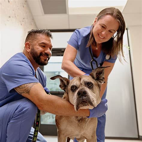Emergency Vet San Antonio