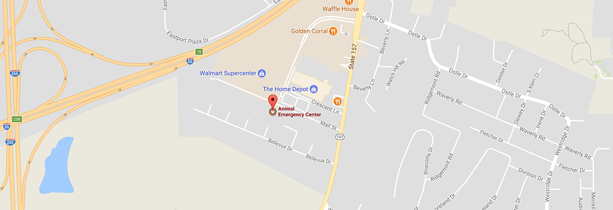 Emergency Veterinarian In Collinsville Il Animal Emergency Center