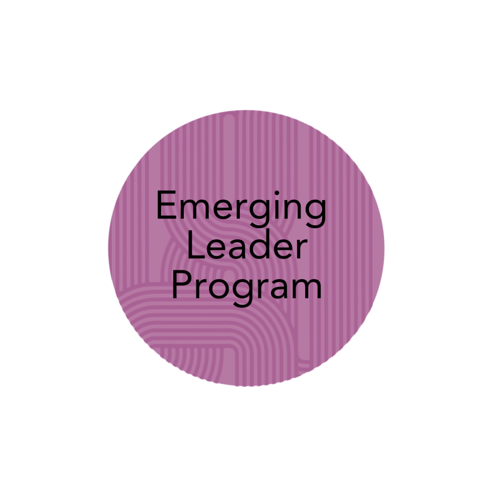 Emerging Leader Development Program For Organizations Lpi