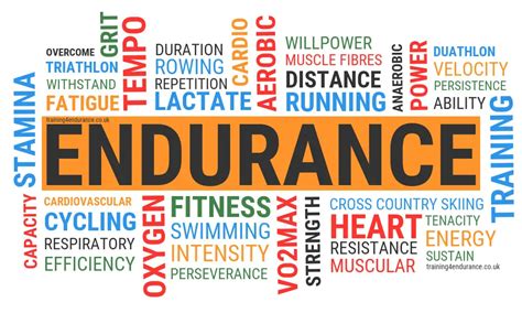 Endurance Meaning Benalm Dena Boosts Its Physical Exercise Programme Endurance Meaning Benalm Dena Boosts Its Physical Exercise Programme