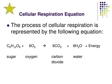 Cellular Respiration Equation Simplified