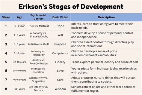 Erikson S Theory Of Life Stages Development